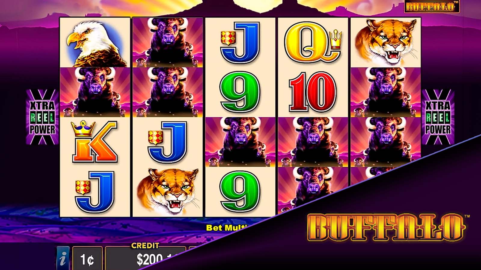 Buffalo The Best Online Pokies You Can Find in Land-Based Casinos
